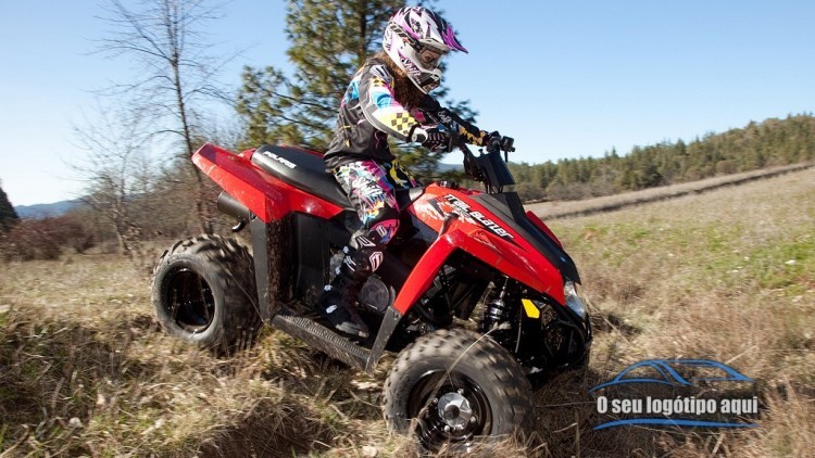 Polaris Trail Blazer 330
